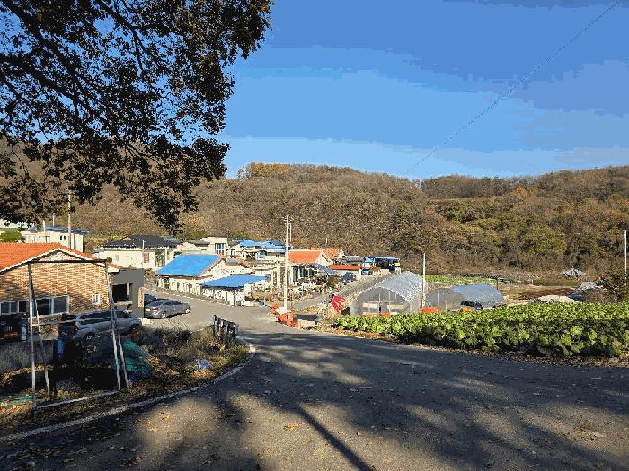 충북 괴산군 청천면 금평리 142-1 전 경매 물건 사진