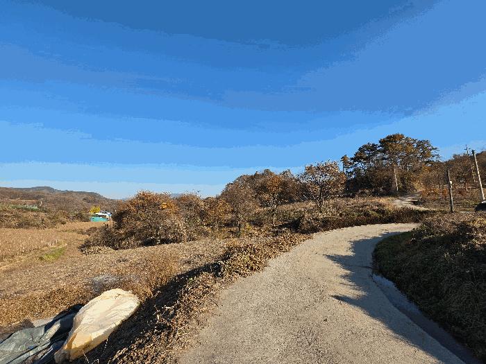충북 괴산군 청천면 금평리 142-1 전 사진 3