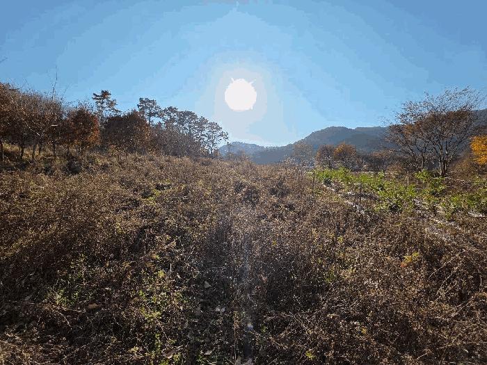 충북 괴산군 청천면 금평리 142-1 전 사진 4