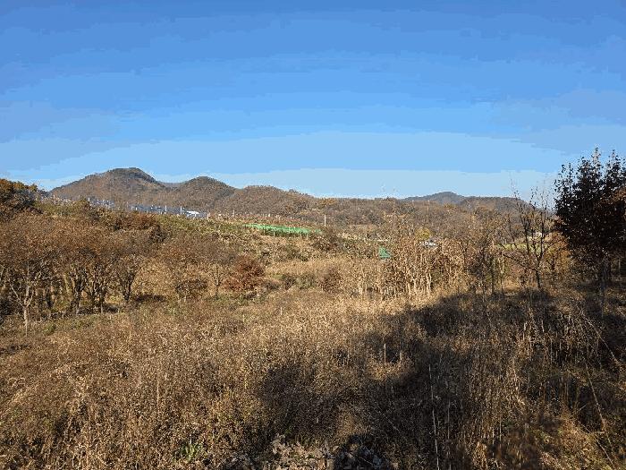 충북 괴산군 청천면 금평리 142-1 전 사진 5