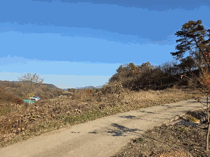 충북 괴산군 청천면 금평리 142-1 전 사진 6