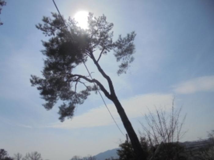 충북 음성군 감곡면 상우리 506 주택 사진 3