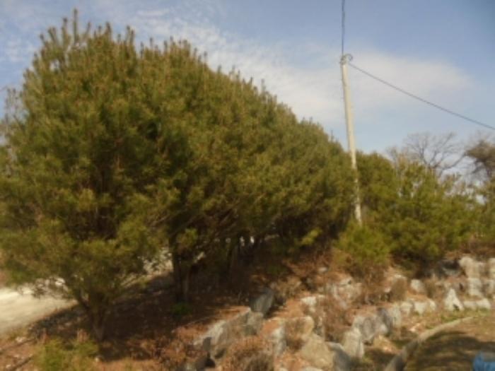충북 음성군 감곡면 상우리 506 주택 사진 4