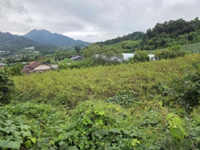 충북 제천시 송학면 시곡리 701 전 사진 4