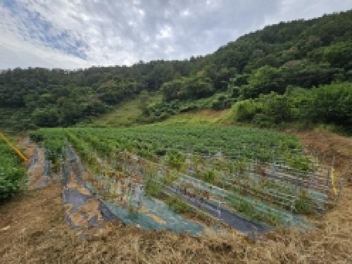 충북 제천시 송학면 시곡리 701 전 사진 6