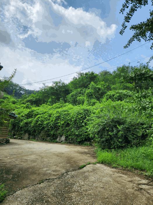 충북 음성군 감곡면 단평리 59-3 전 경매 물건 사진