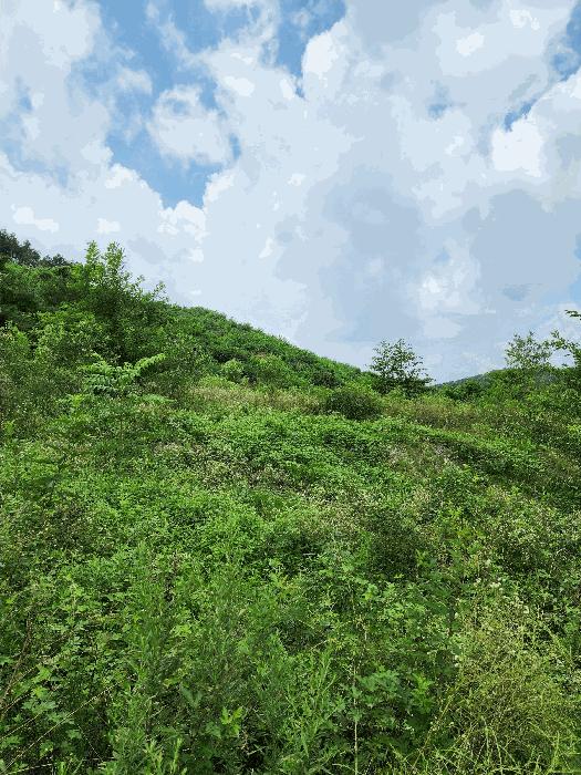 충북 음성군 감곡면 단평리 59-3 전 사진 4