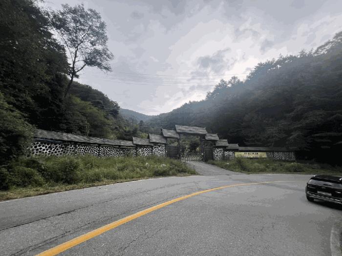 충북 제천시 봉양읍 원박리 산5-1 임야 경매 물건 사진