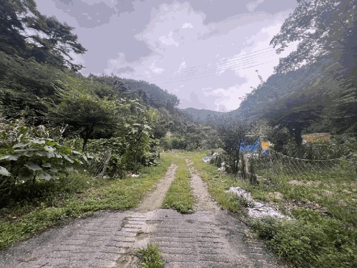충북 제천시 봉양읍 원박리 산5-1 임야 사진 2
