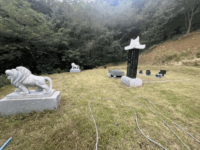 충북 제천시 봉양읍 원박리 산5-1 임야 사진 4