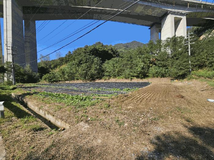 충북 단양군 대강면 용부원리 640 답 경매 물건 사진