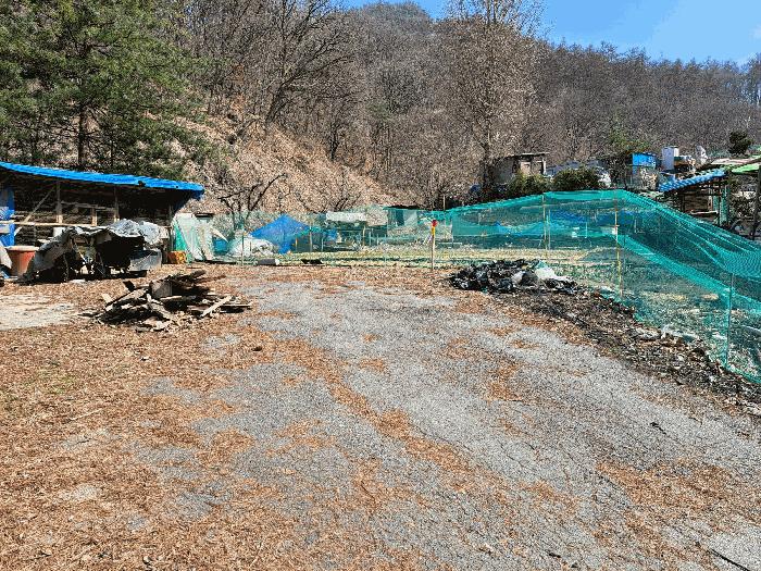 충북 충주시 용탄동 876 전 사진 2