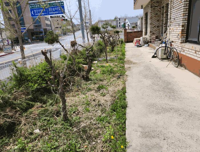 충북 충주시 대소원면 본리 715 주택 사진 5