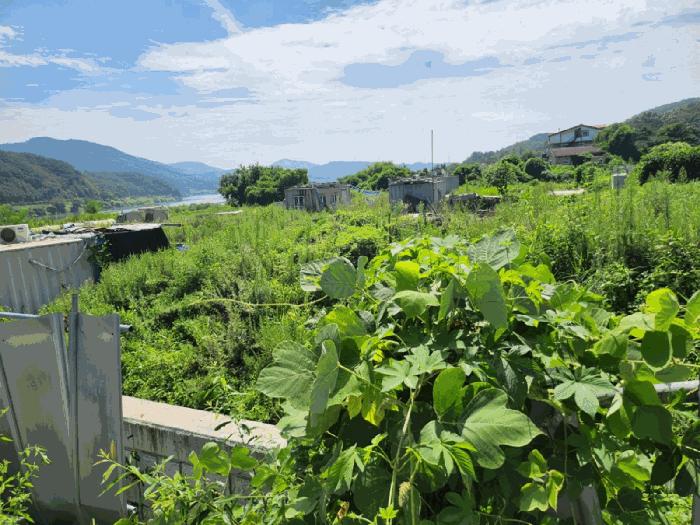 충북 충주시 앙성면 조천리 217-17 전 경매 물건 사진