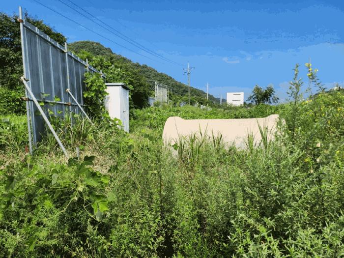 충북 충주시 앙성면 조천리 217-17 전 사진 3