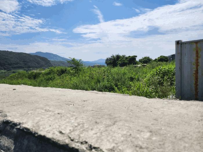 충북 충주시 앙성면 조천리 217-17 전 사진 6
