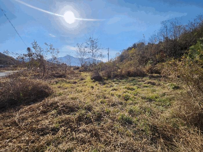 충북 괴산군 칠성면 두천리 산20-8 임야 경매 물건 사진