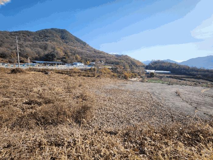 충북 괴산군 칠성면 두천리 산20-8 임야 사진 3