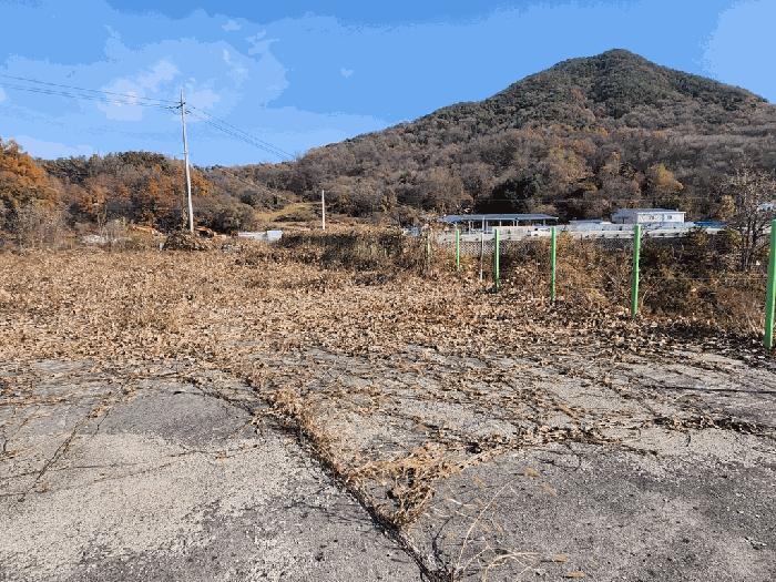 충북 괴산군 칠성면 두천리 산20-8 임야 사진 5