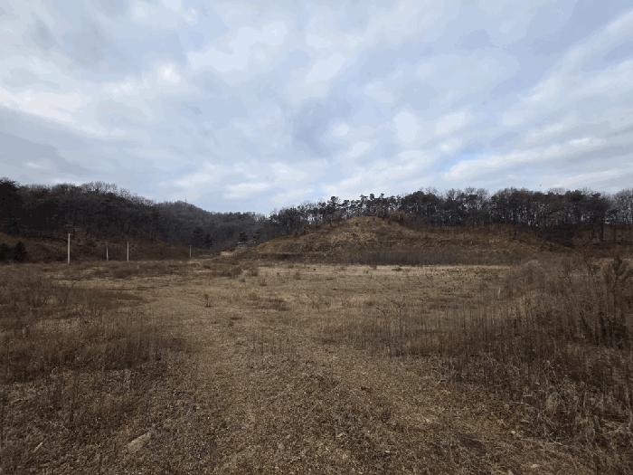 충북 청주시 흥덕구 옥산면 국사리 산155 임야 경매 물건 사진