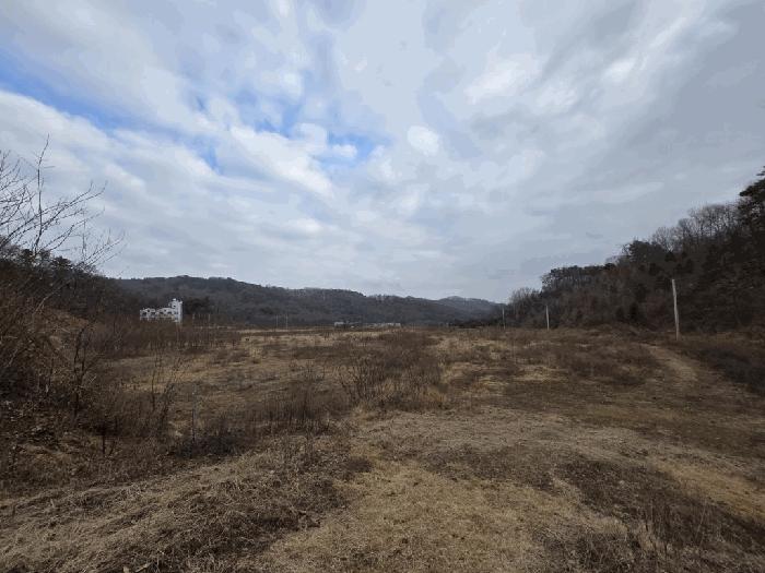 충북 청주시 흥덕구 옥산면 국사리 산155 임야 사진 2