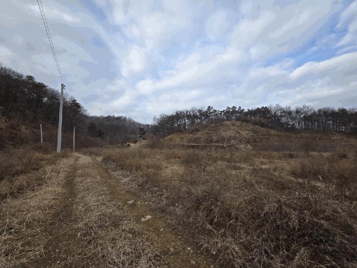 충북 청주시 흥덕구 옥산면 국사리 산155 임야 사진 3