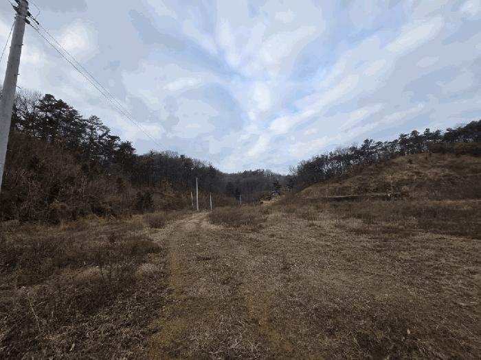 충북 청주시 흥덕구 옥산면 국사리 산155 임야 사진 4