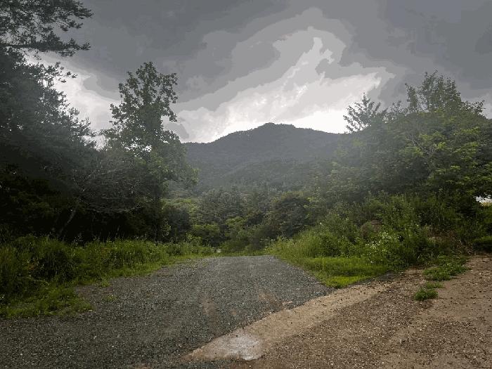 충북 충주시 동량면 하천리 443-14 기타토지 경매 물건 사진