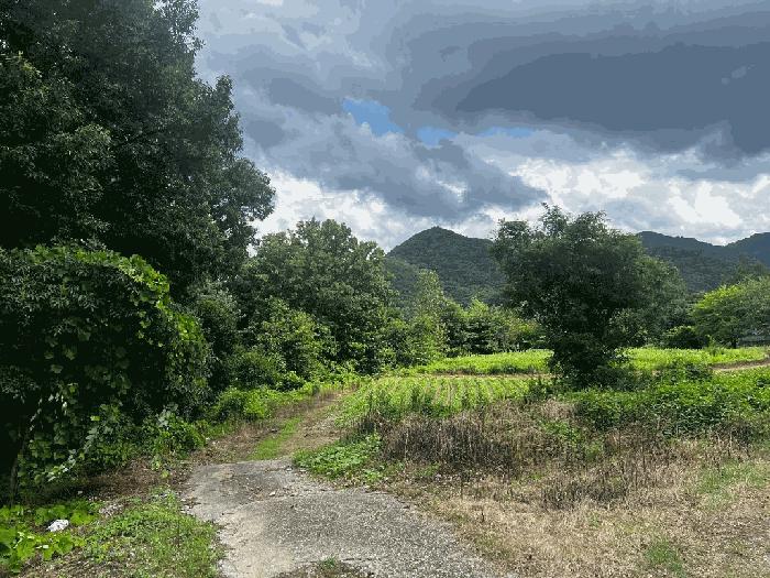 충북 충주시 동량면 하천리 443-14 기타토지 사진 2
