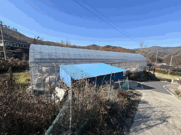충북 괴산군 문광면 신기리 232-5 주택 사진 4