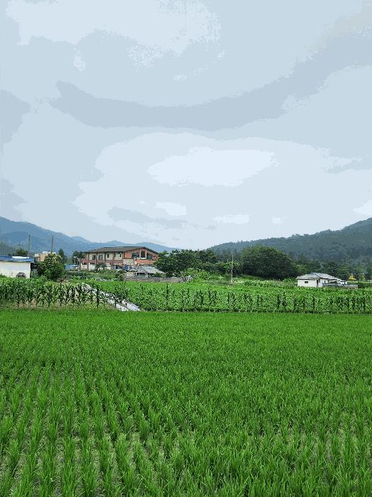 충북 충주시 산척면 송강리 1441-1 근린주택 경매 물건 사진