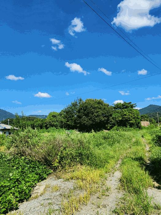 충북 충주시 산척면 송강리 1441-1 근린주택 사진 3