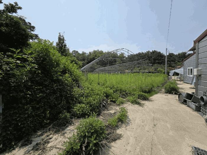 충북 음성군 금왕읍 구계리 604 창고 사진 3