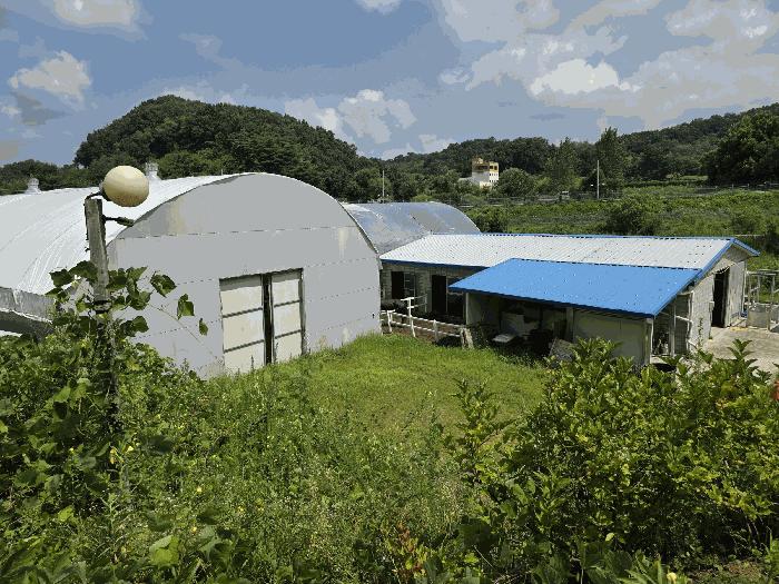 충북 충주시 금가면 원포리 458 운동시설 사진 6