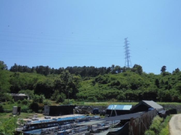 충북 청주시 상당구 문의면 남계리 산91-5 임야 사진 2