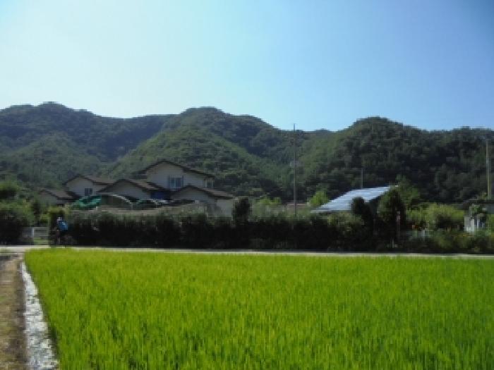 충북 청주시 상당구 문의면 남계리 산91-5 임야 사진 3