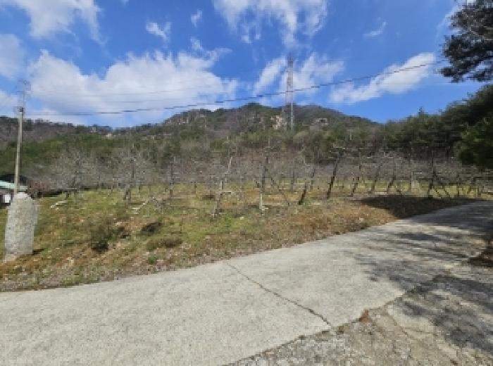 충북 단양군 단성면 가산리 250 답 사진 6