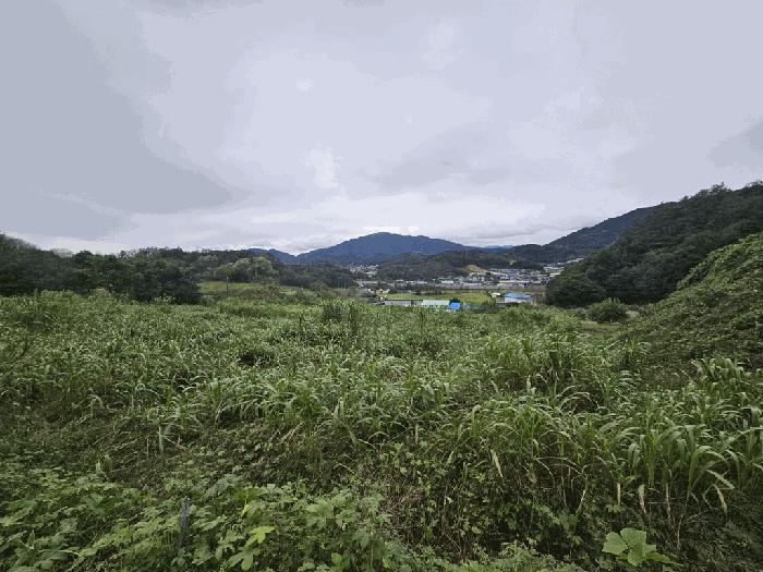 충북 제천시 송학면 무도리 320-2 창고 경매 물건 사진