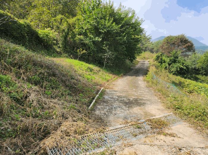 충북 단양군 적성면 하리 212 전 사진 4