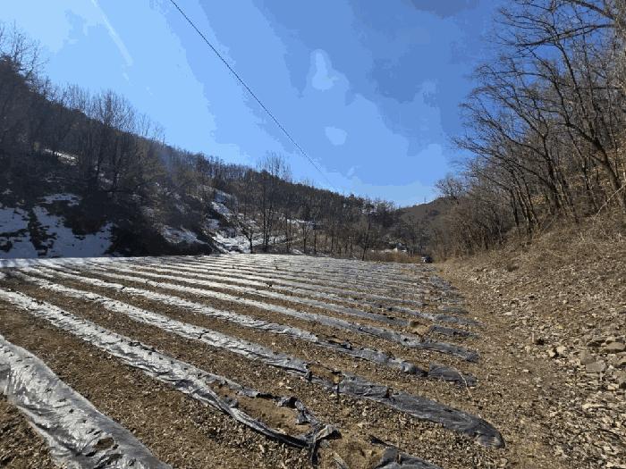 충북 단양군 가곡면 여천리 102 전 경매 물건 사진