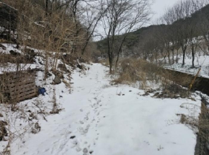 충북 단양군 가곡면 여천리 102 전 사진 3