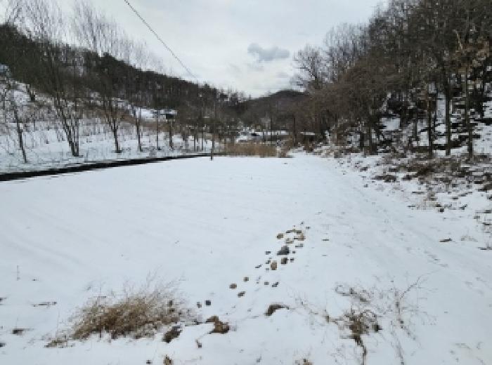 충북 단양군 가곡면 여천리 102 전 사진 4