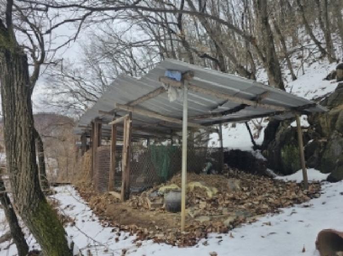 충북 단양군 가곡면 여천리 102 전 사진 6