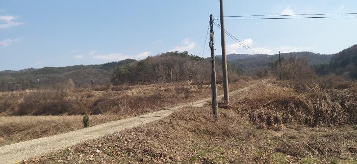 충북 청주시 상당구 미원면 쌍이리 213-2 답 경매 물건 사진