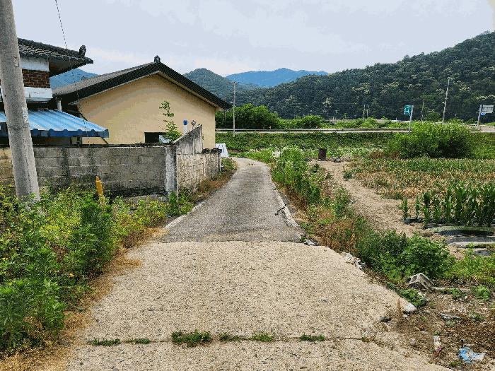 충북 괴산군 불정면 웅동리 182-1 전 사진 2
