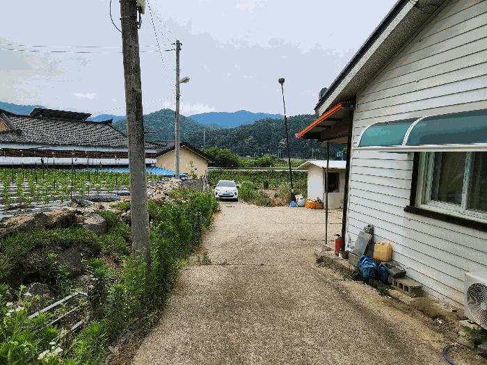 충북 괴산군 불정면 웅동리 182-1 전 사진 5