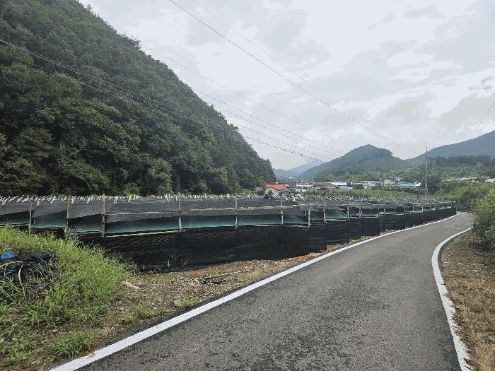 충북 보은군 산외면 길탕리 152 전 경매 물건 사진