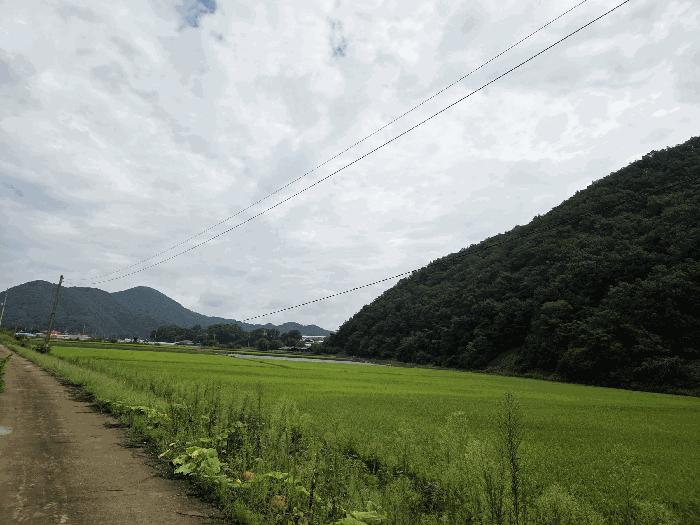 충북 보은군 산외면 길탕리 152 전 사진 3