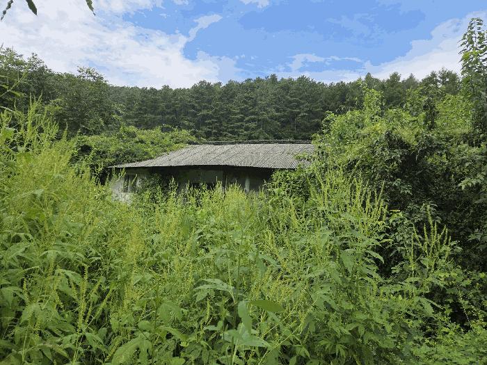 충북 보은군 산외면 길탕리 152 전 사진 4