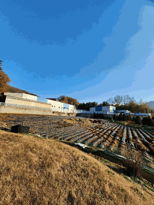충북 음성군 생극면 오생리 361-3 공장 경매 물건 사진